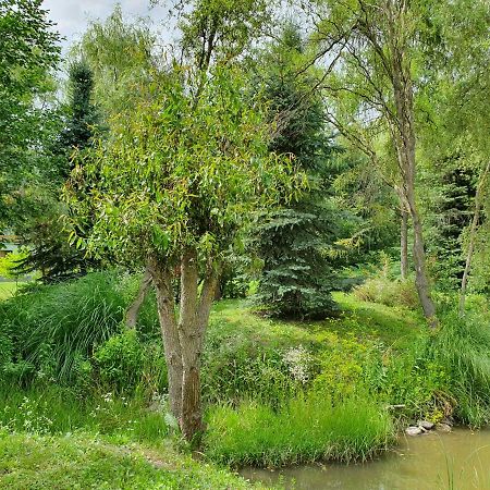 Kamilla Kulcsoshaz Villa Sub Cetate Exterior foto