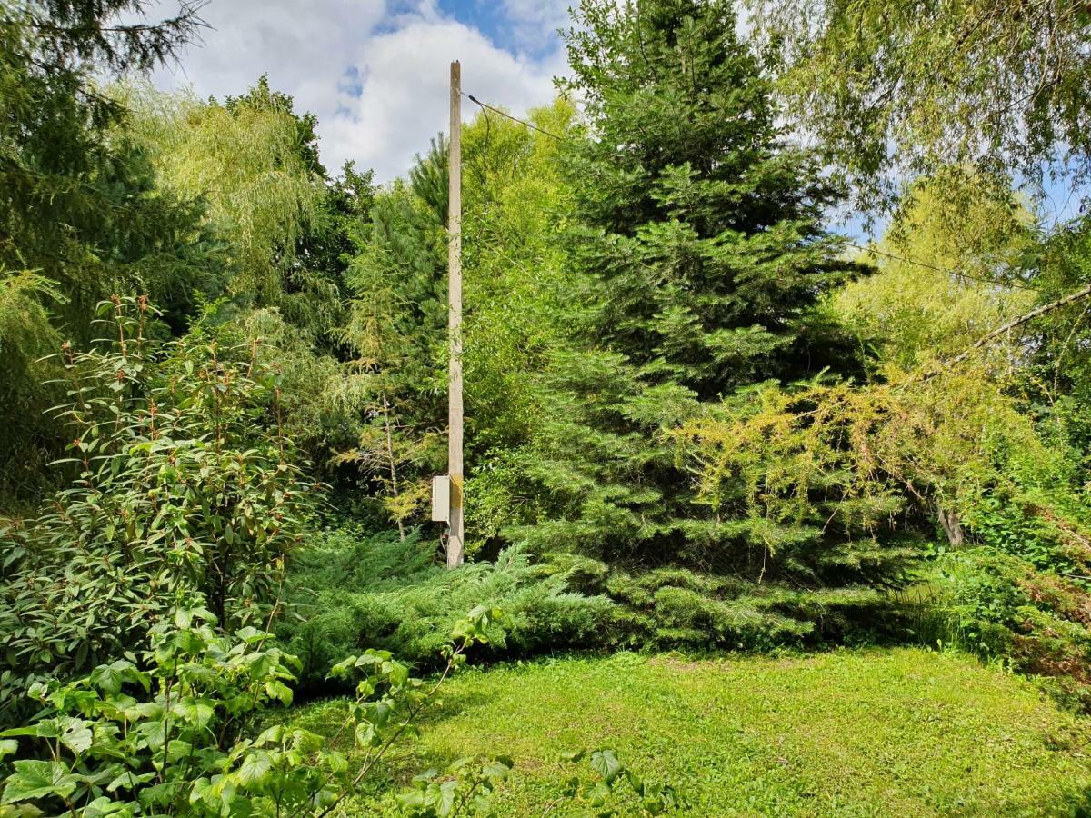 Kamilla Kulcsoshaz Villa Sub Cetate Exterior foto